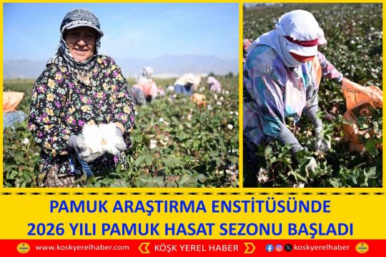 PAMUK ARAŞTIRMA ENSTİTÜSÜNDE 2026 YILI PAMUK HASAT SEZONU BAŞLADI