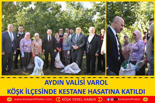 AYDIN VALİSİ VAROL KÖŞK İLÇESİNDE KESTANE HASATINA KATILDI